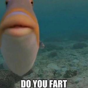 Meet your Posher, Bob